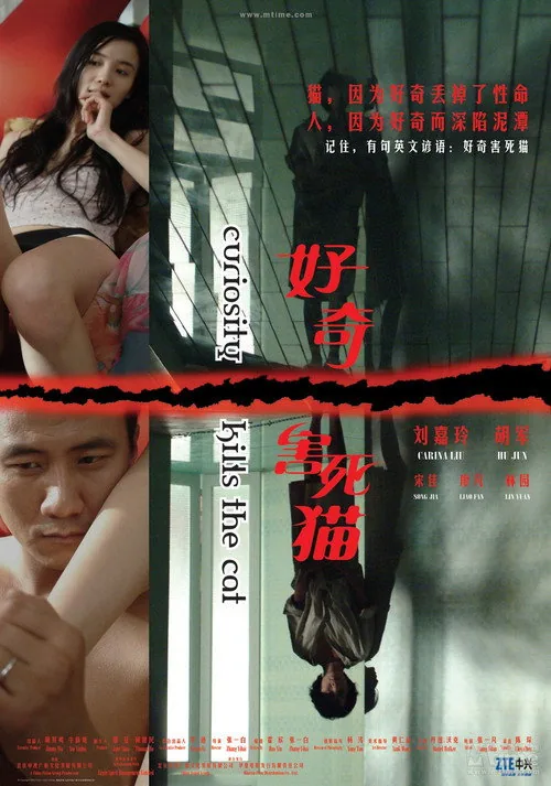 호기심이 고양이를 죽인다