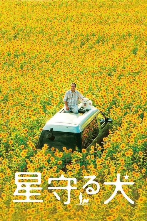 별을 바라보는 개
