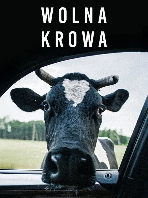 Wolna krowa