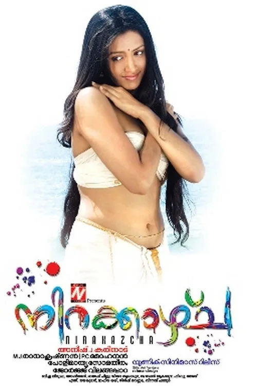 നിറകാഴ്ച