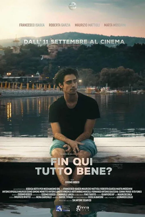 Fin qui tutto bene?