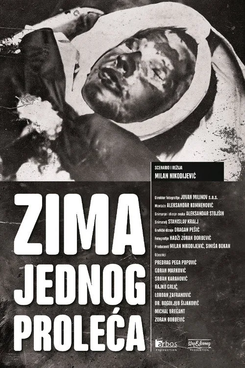 Zima jednog proleća
