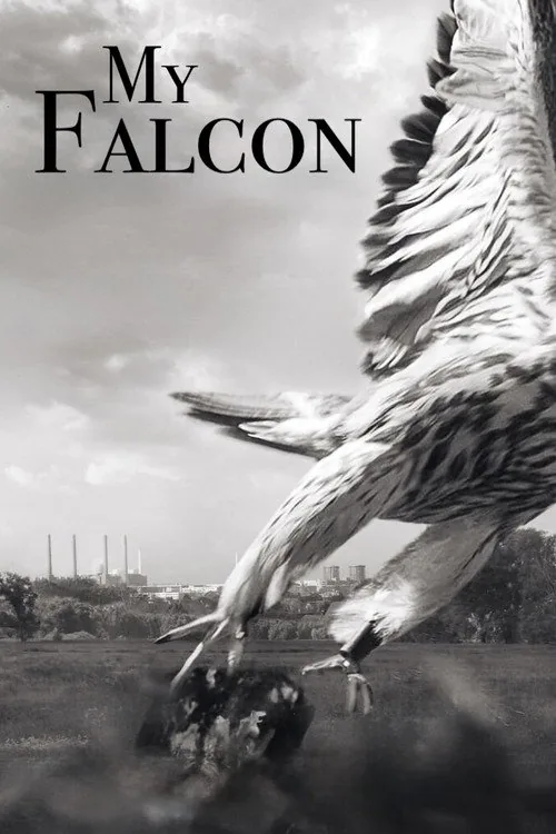 Mein Falke