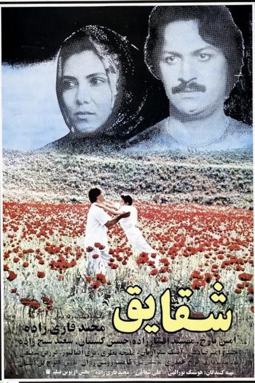 شقایق