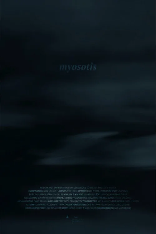 Myosotis
