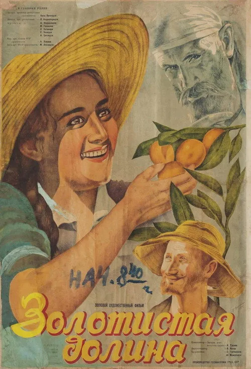 ნარინჯის ველი