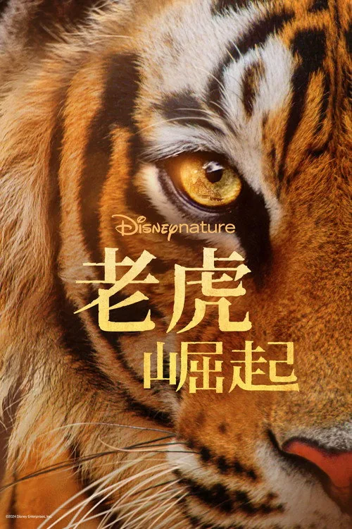 Tigers on the Rise