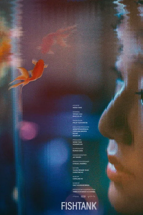 魚缸
