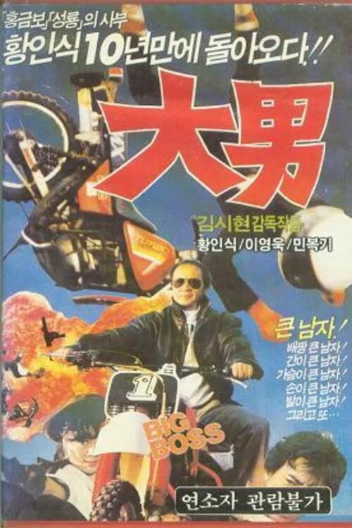 대남