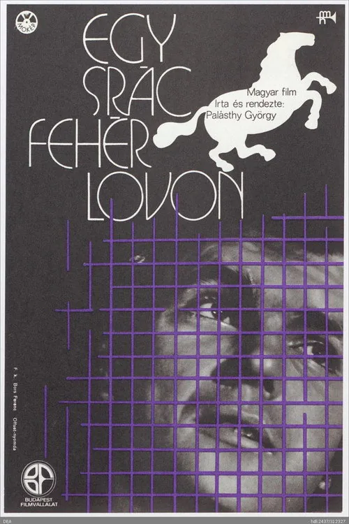 Egy srác fehér lovon