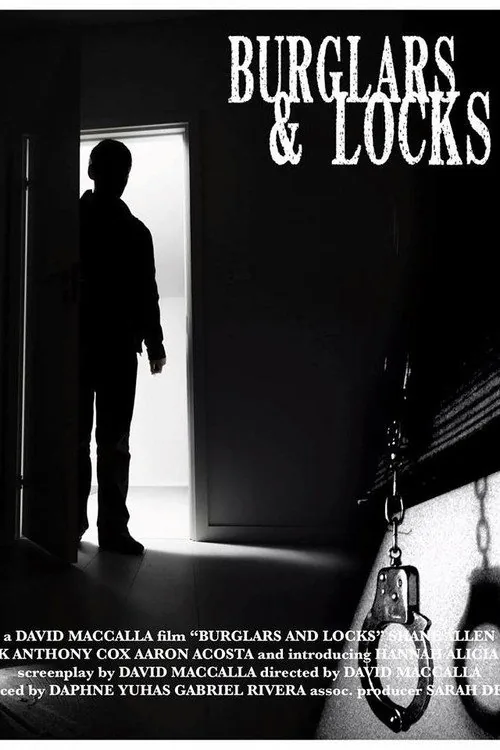 Burglars & Locks
