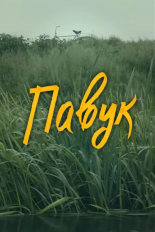 DZIDZIO: Павук