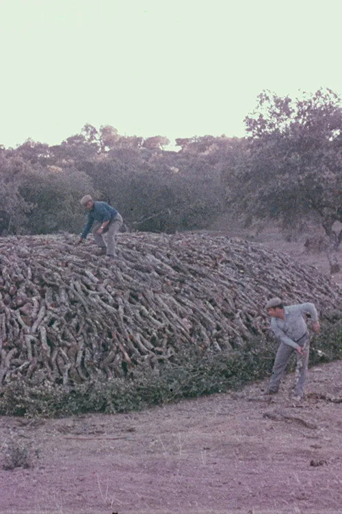 Encinares