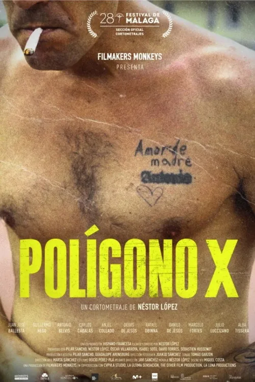 Polígono X