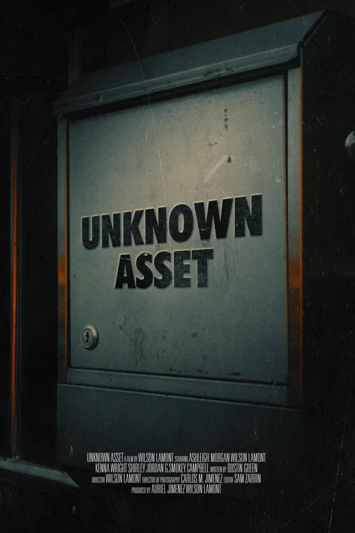 Unknown Asset