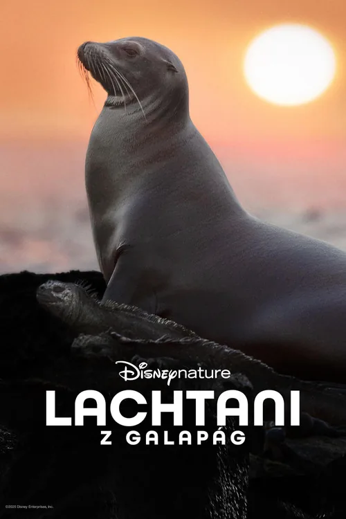 Lachtani Galapág