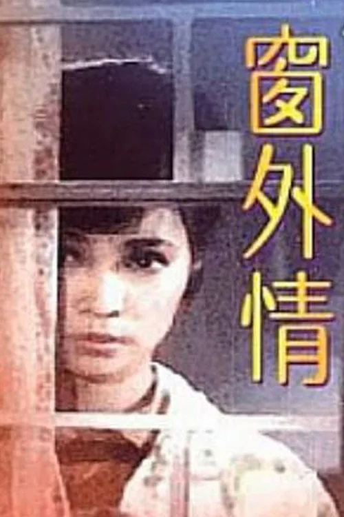 窗外情