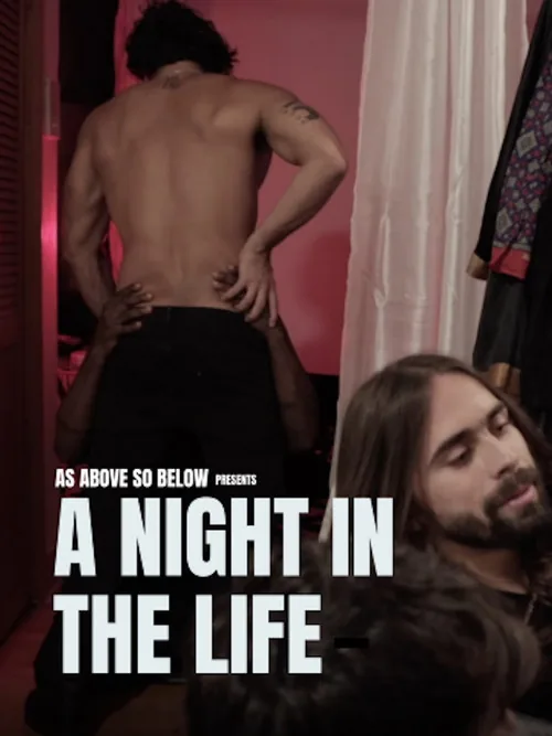 A Night in the Life