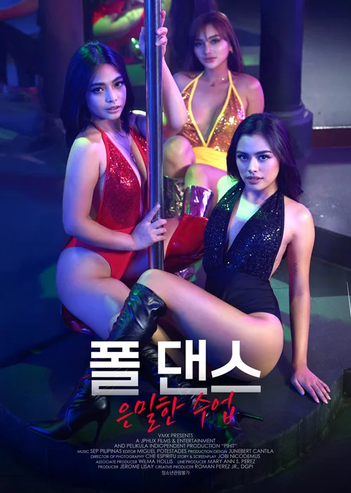 폴 댄스: 은밀한 수업