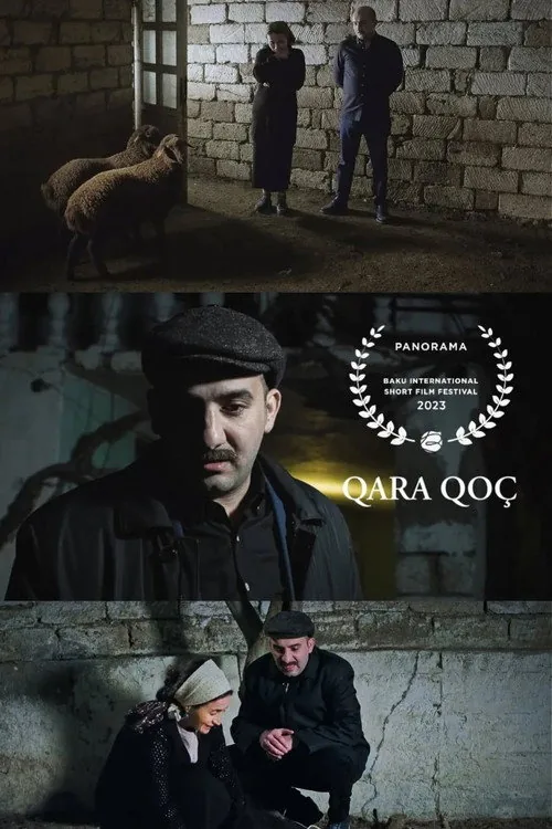 Qara Qoç