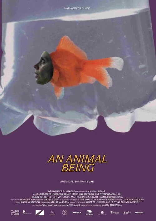 An Animal Being
