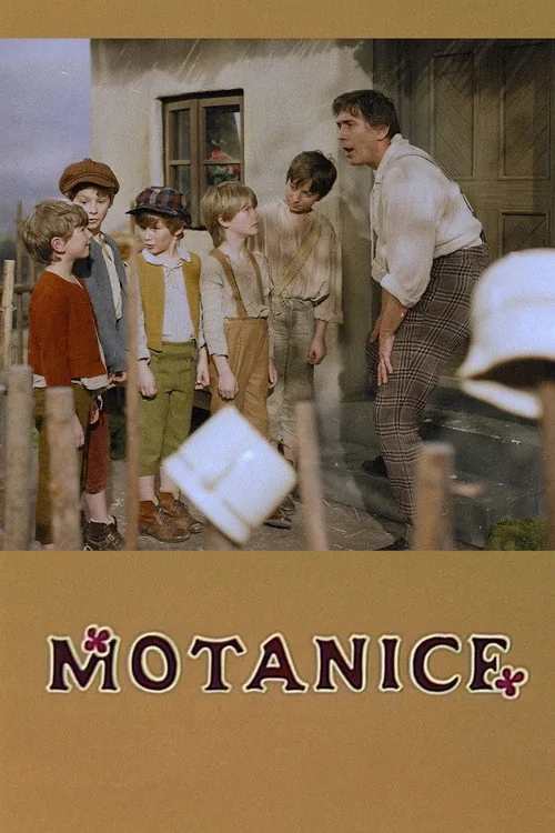 Motanice
