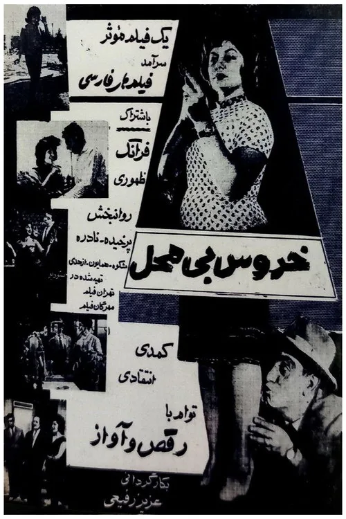 خروس بی‌محل