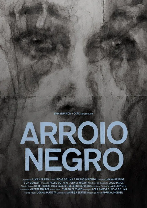 Arroio Negro