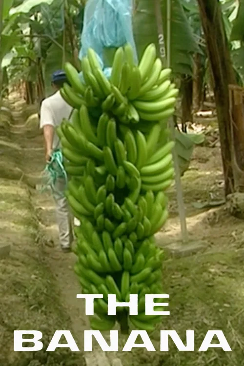 The Banana