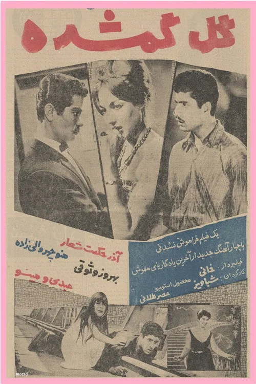 گل گمشده