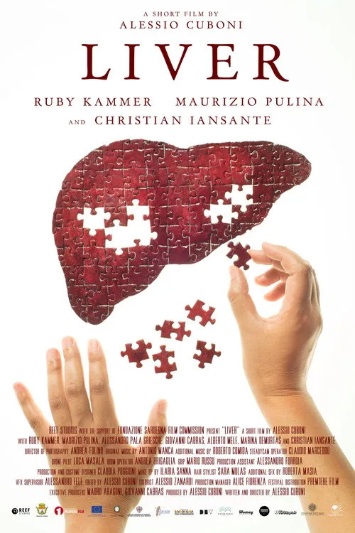 Liver