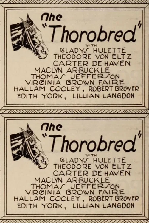 The Thoroughbred