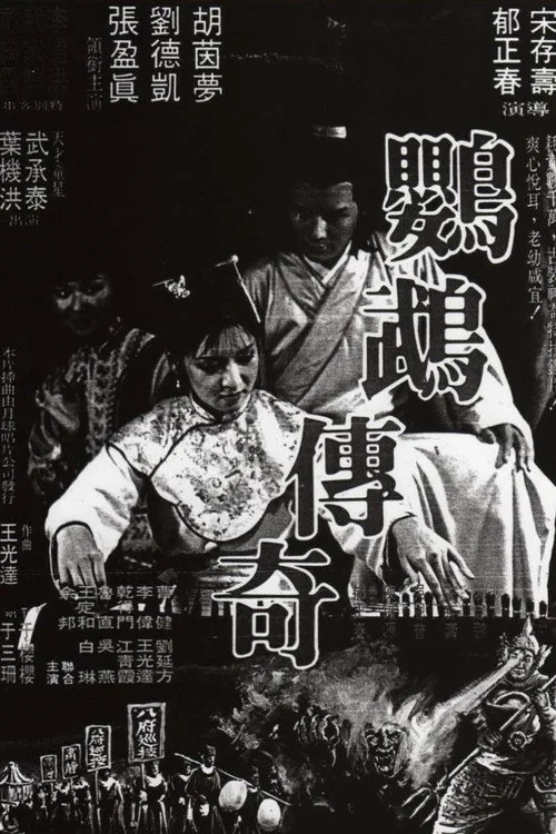 鸚鵡傳奇