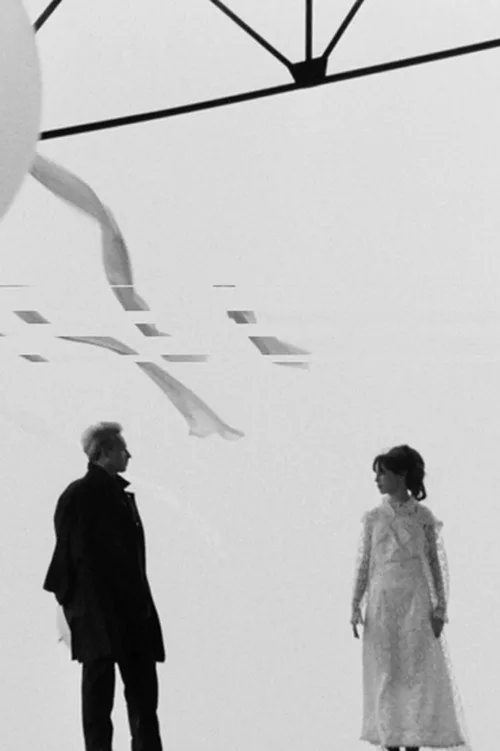 Noces de plumes