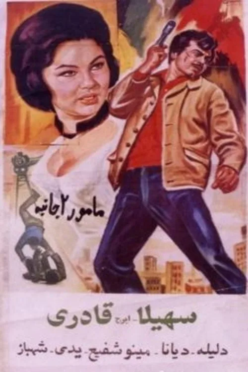 مأمور دوجانبه