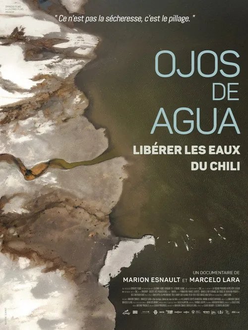 Ojos de agua