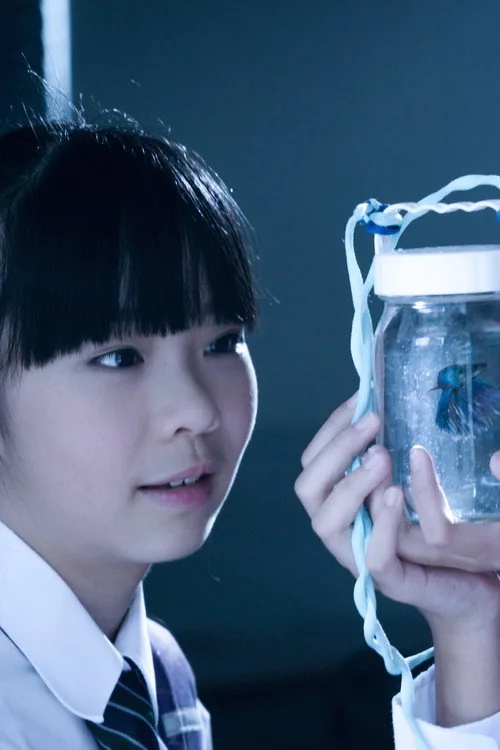 星星的孩子