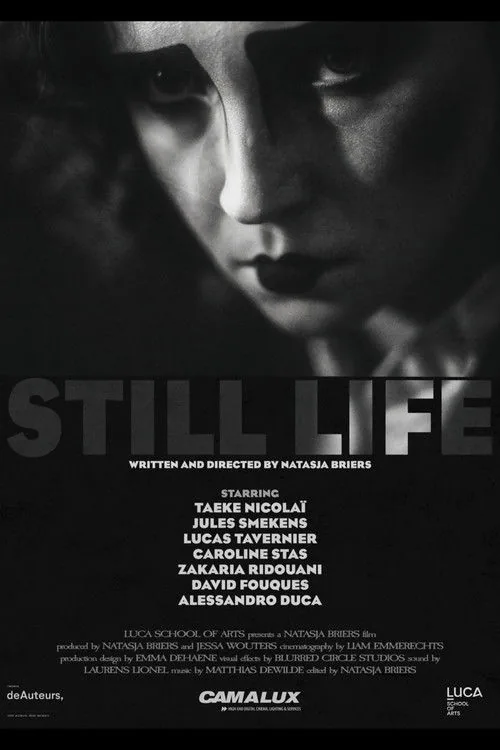 Still Life