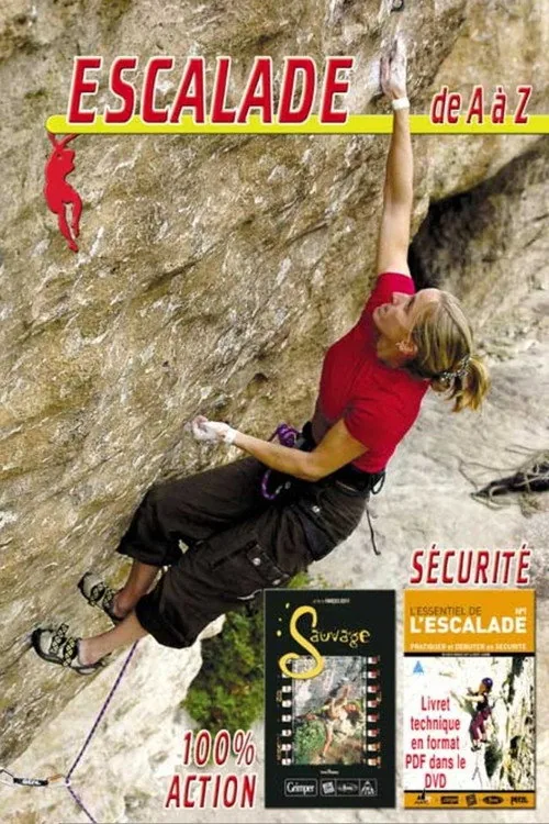 L'essentiel de l'escalade