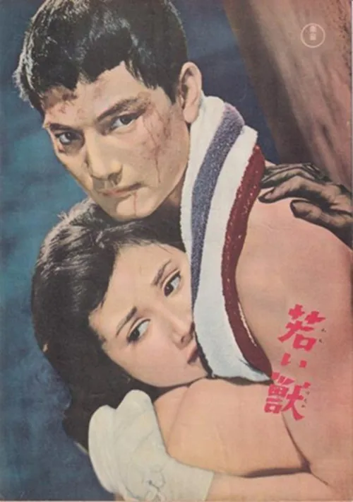 若い獣
