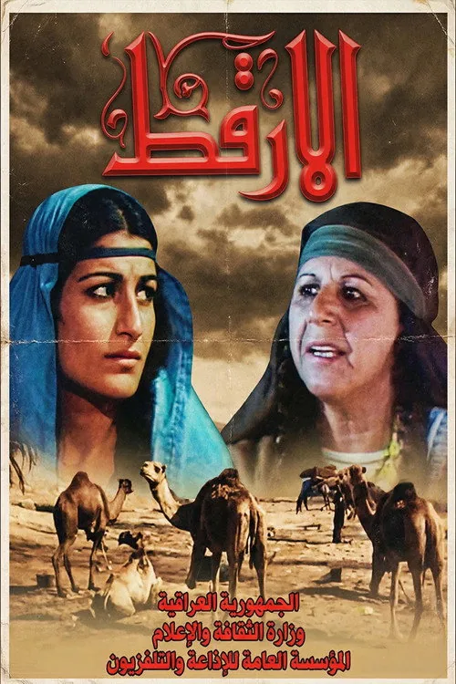 الأرقط
