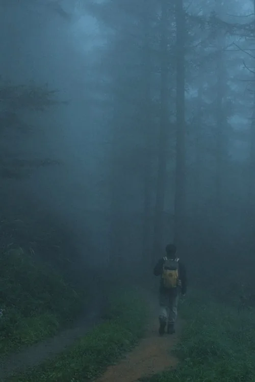 부자산행