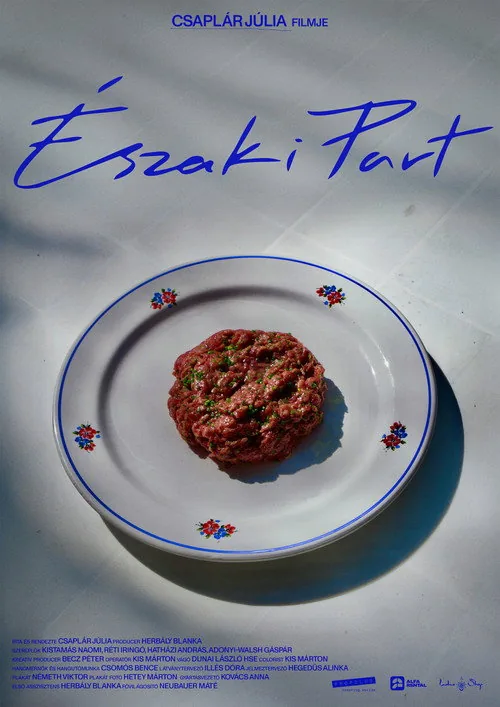 Északi part