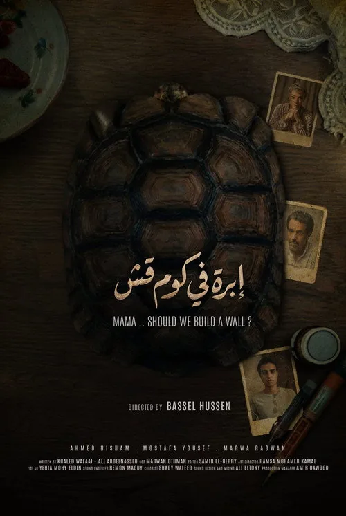 إبرة في كوم قش