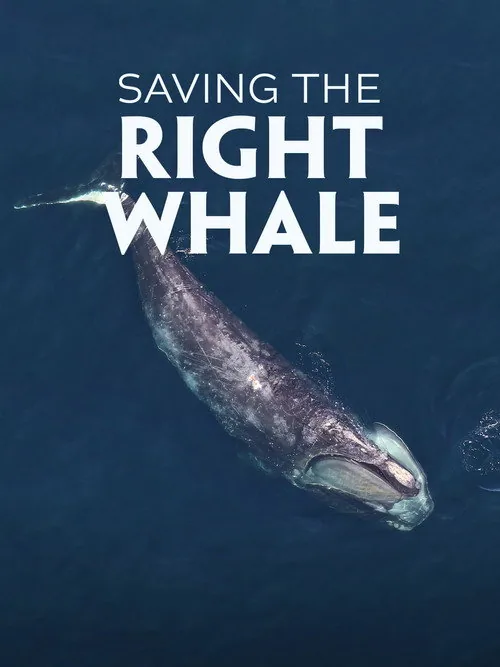 Saving the Right Whale