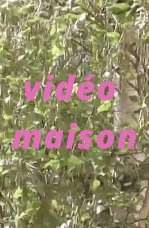 Vidéo maison