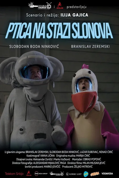Ptica na stazi slonova