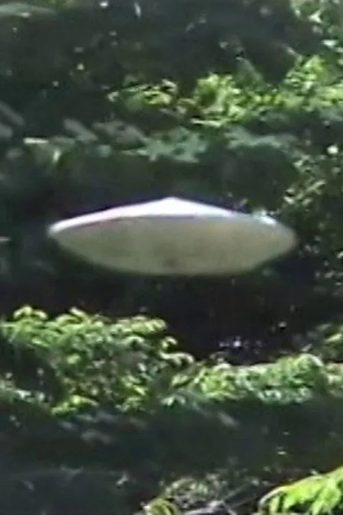 ブチョウとUFOごっこ