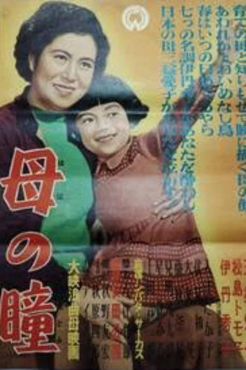 母の瞳