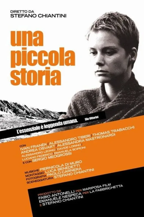 Una piccola storia